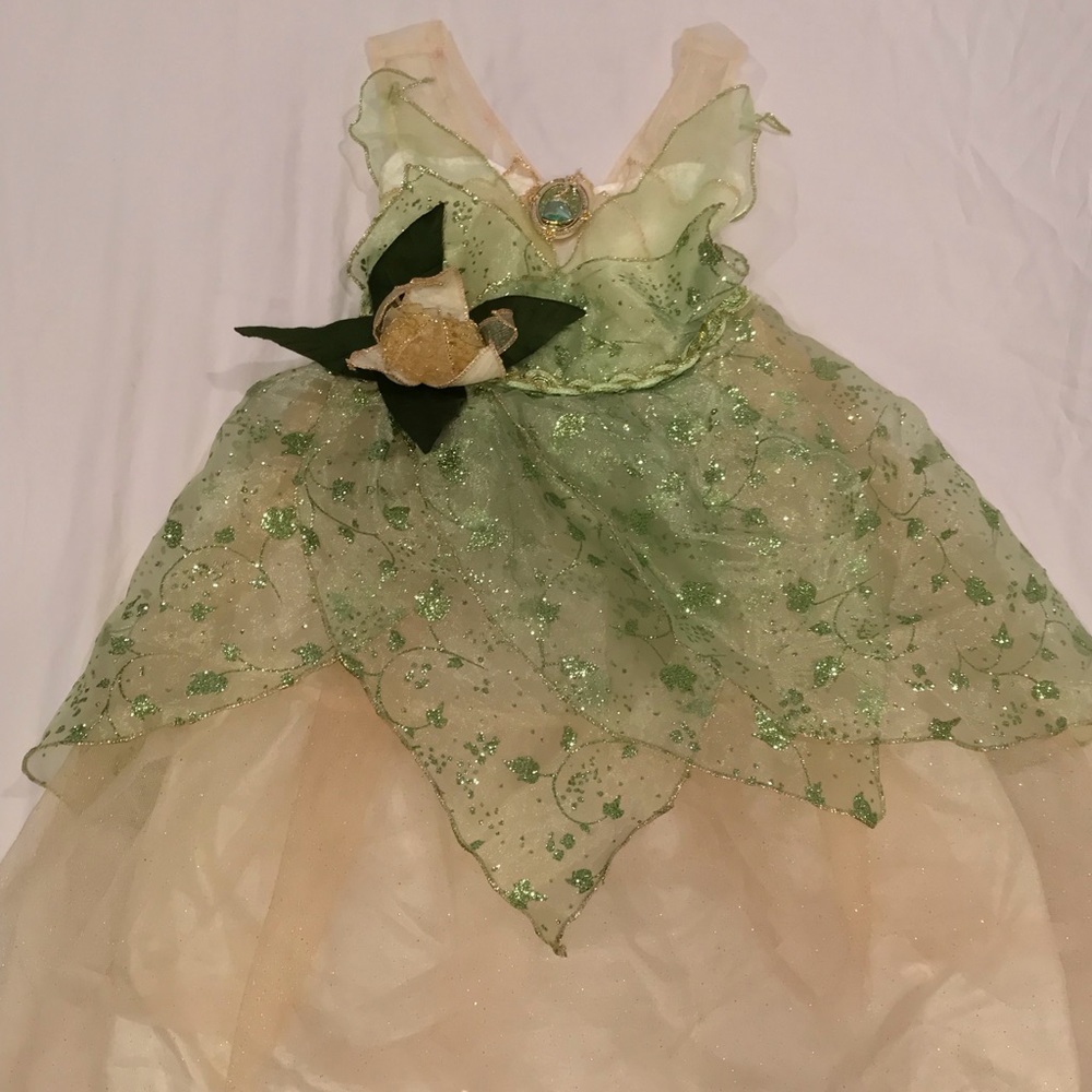 Disney store Tiana dress